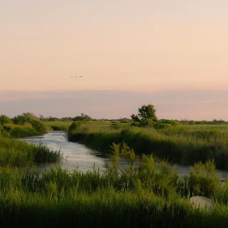Villa La Maison Blanche De Camargue *
